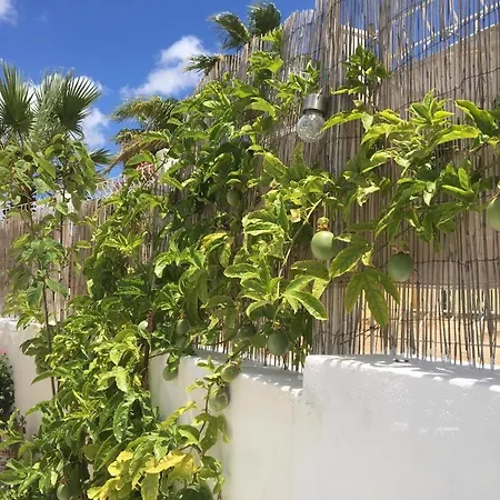 Quinta Vale De Luz Дом отдыха