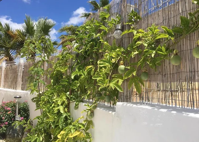 Quinta Vale De Luz بيت للعطل